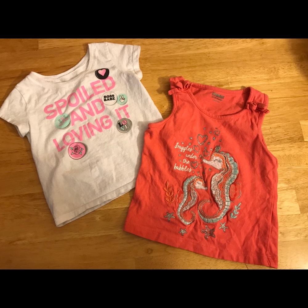 Two Girl’s 12-18 Month Shirts